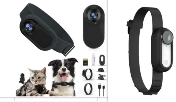 Pet Supplies Cat And Dog Collar Camera Indoor And Outdoor Wireless Recording